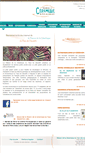 Mobile Screenshot of maisondelaceramique.fr